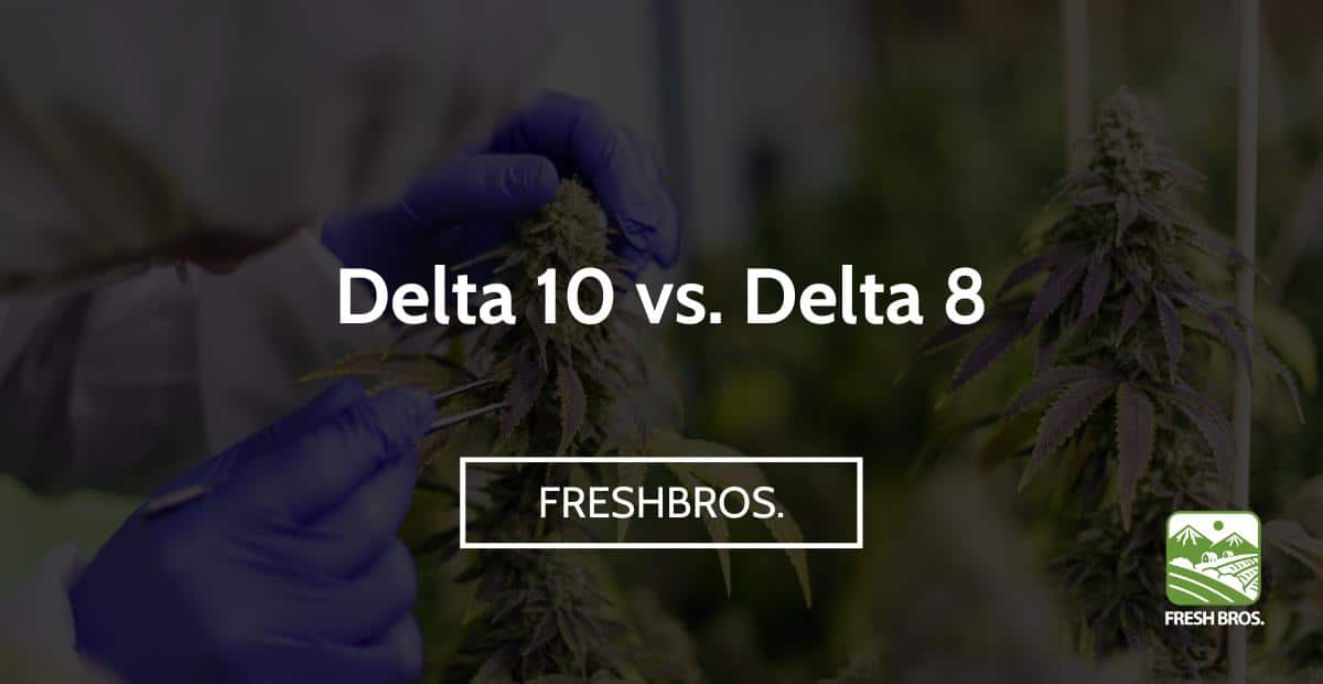 Delta 10 vs. Delta 8