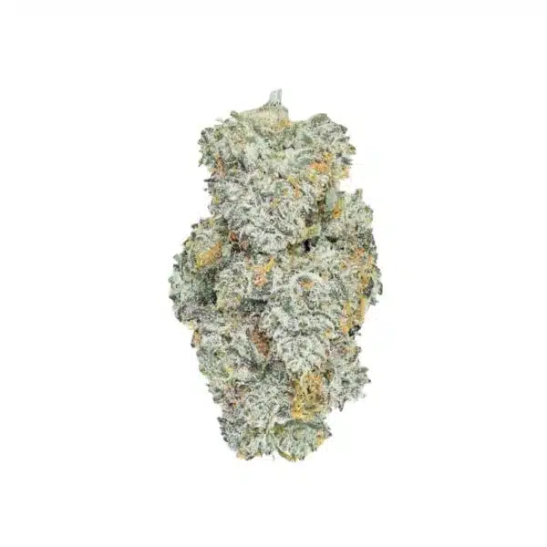 Lemon Cherry Gelato_ Hybrid