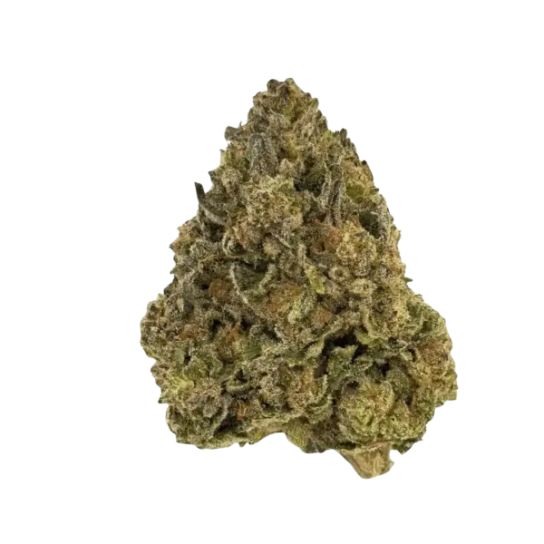 Obama Runtz THCA Flower Bud Image – $600 a Pound