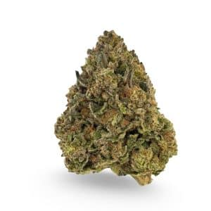 Obama Runtz THCA Flower Bud Image – $600 a Pound