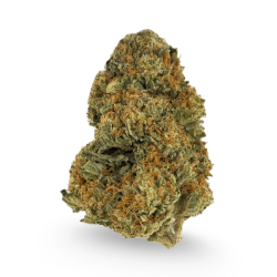 Biscotti THCA Flower - $50 an Ounce