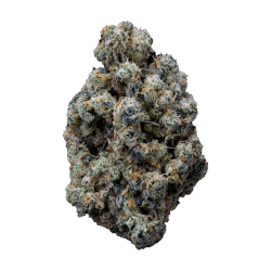 gas