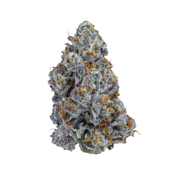 tropical runtz