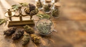 $50 THCA Ounces: Best Budget Options & Quality Guide - Fresh Bros