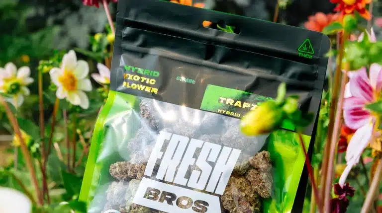 Is THCA Safe? What to Know Before You Smoke