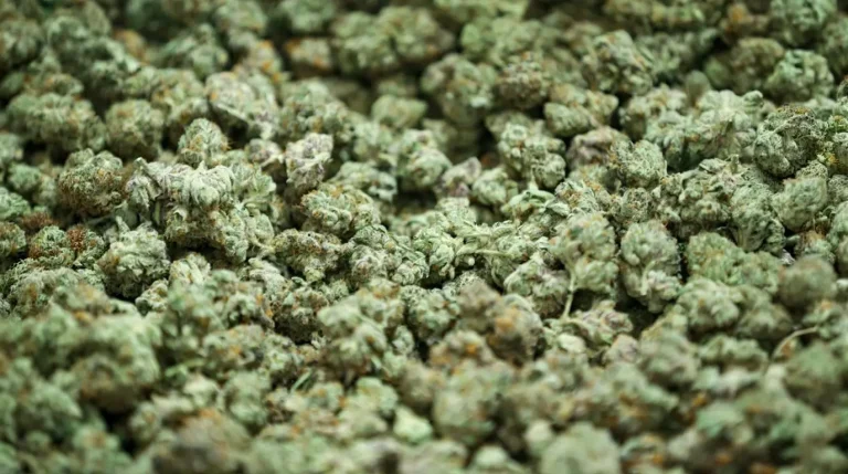 The 11 Best THCA Flower Strains in 2026